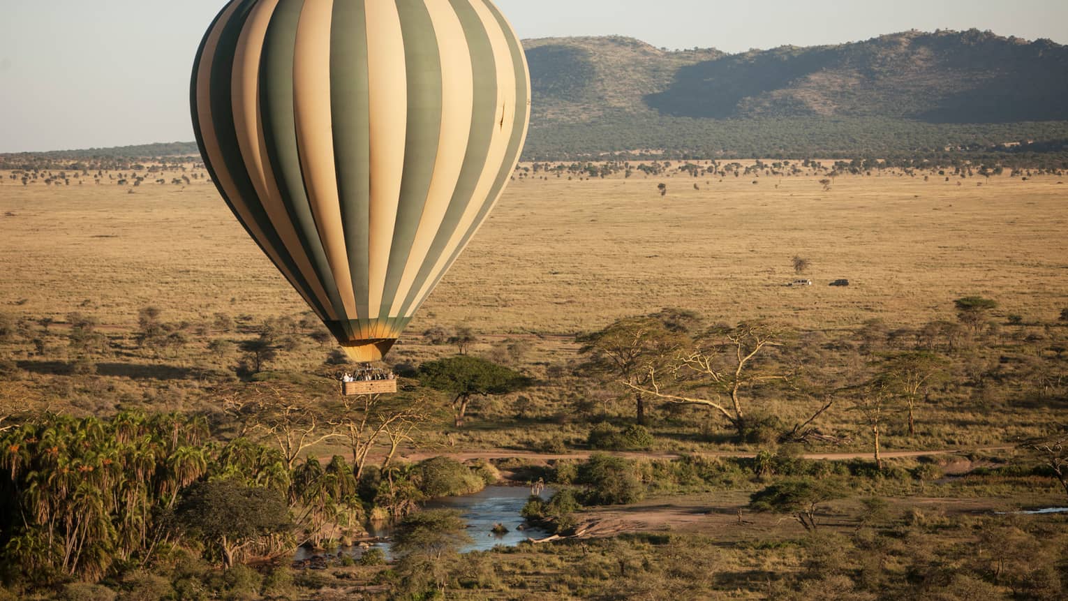 Striped hot air balloon hovers over Serengeti field