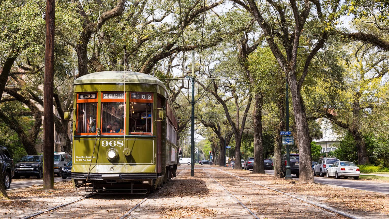 Vintage streetcar on track between trees on New Orleans street