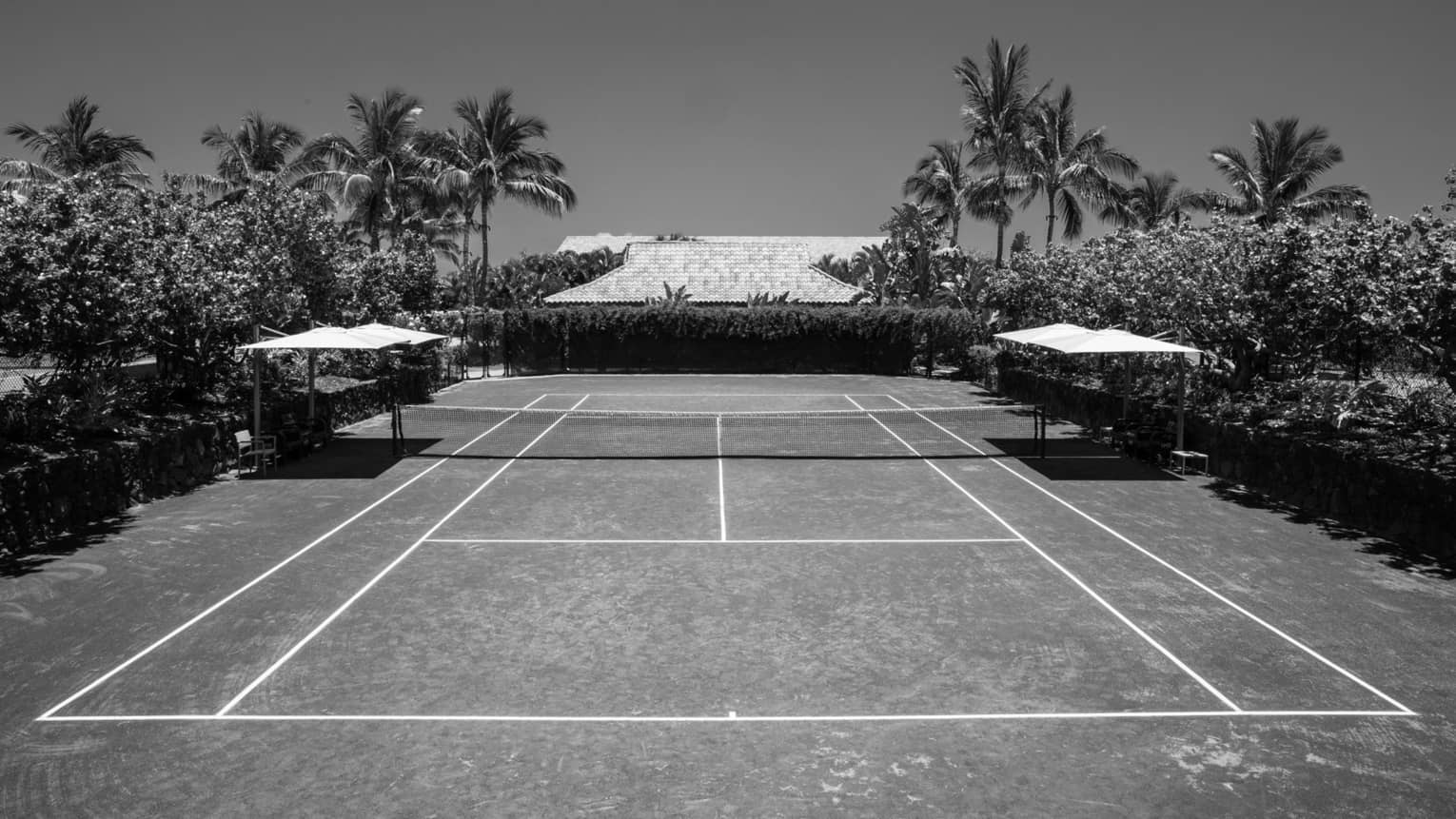 A large tennis court surrounded by palm trees