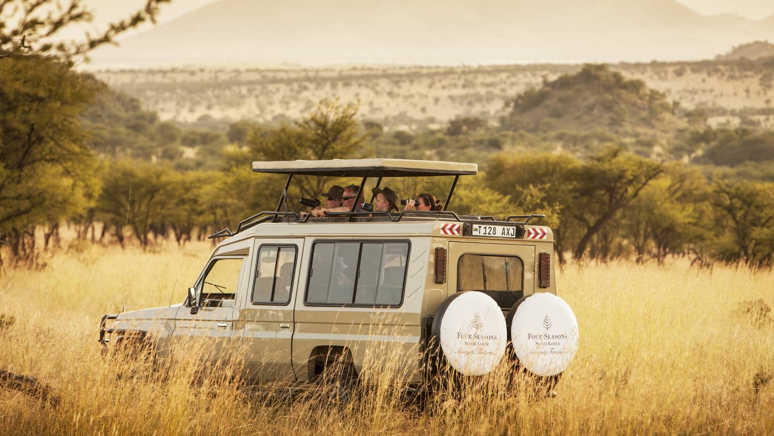 Guests peek out from white safari jeep roof in tall grass of Serengeti park