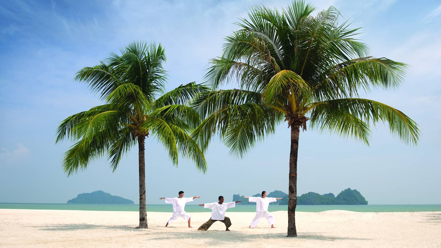 Three people stretch, balance in yoga poses between two large palms on beach