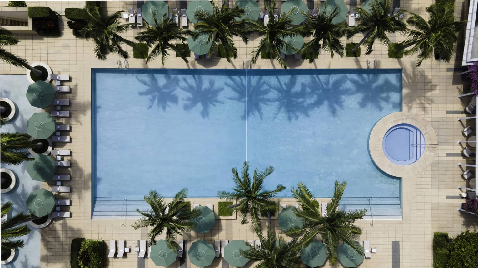 Aerial view of a luxurious rectangular swimming pool surrounded by palm trees and lounge chairs at the Four Seasons Hotel in Miami. The pool water reflects the palm tree silhouettes, enhancing the tropical ambiance.