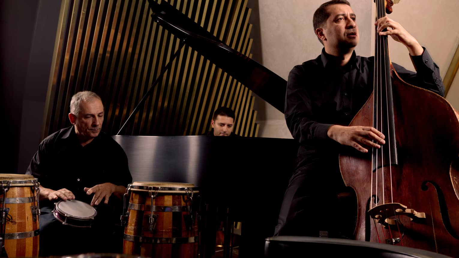 Three band members playing hand drum, grand piano and double bass