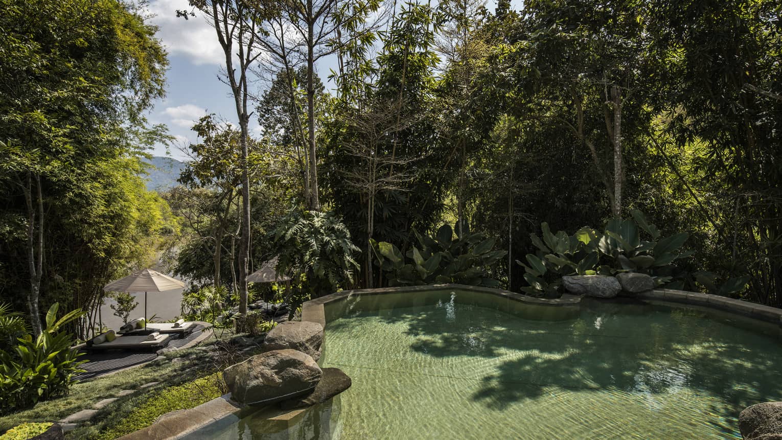 Large Riverside Pool outdoor by towering trees, large boulders