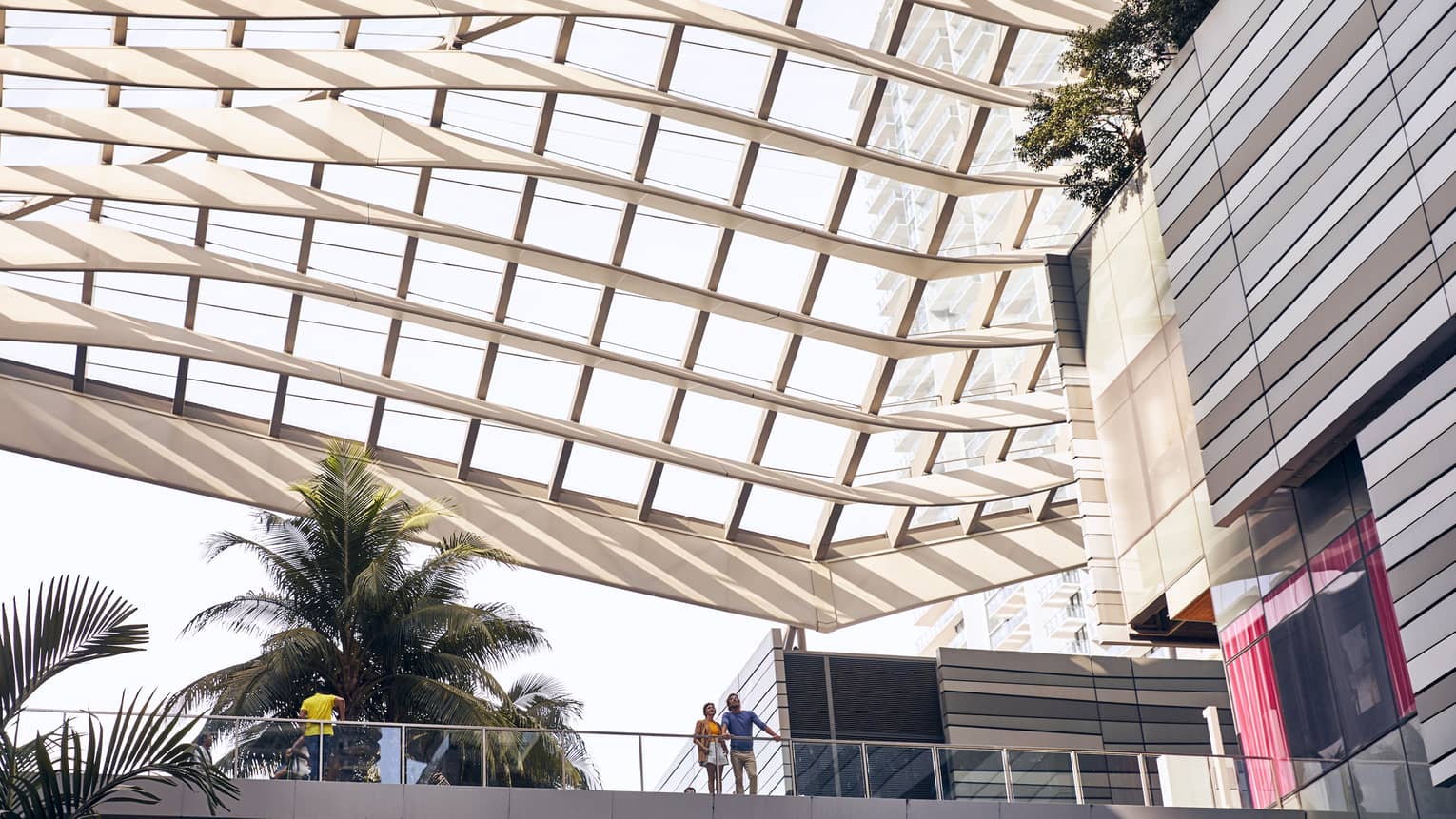 Outdoor walkway under modern grid-like, glass covering