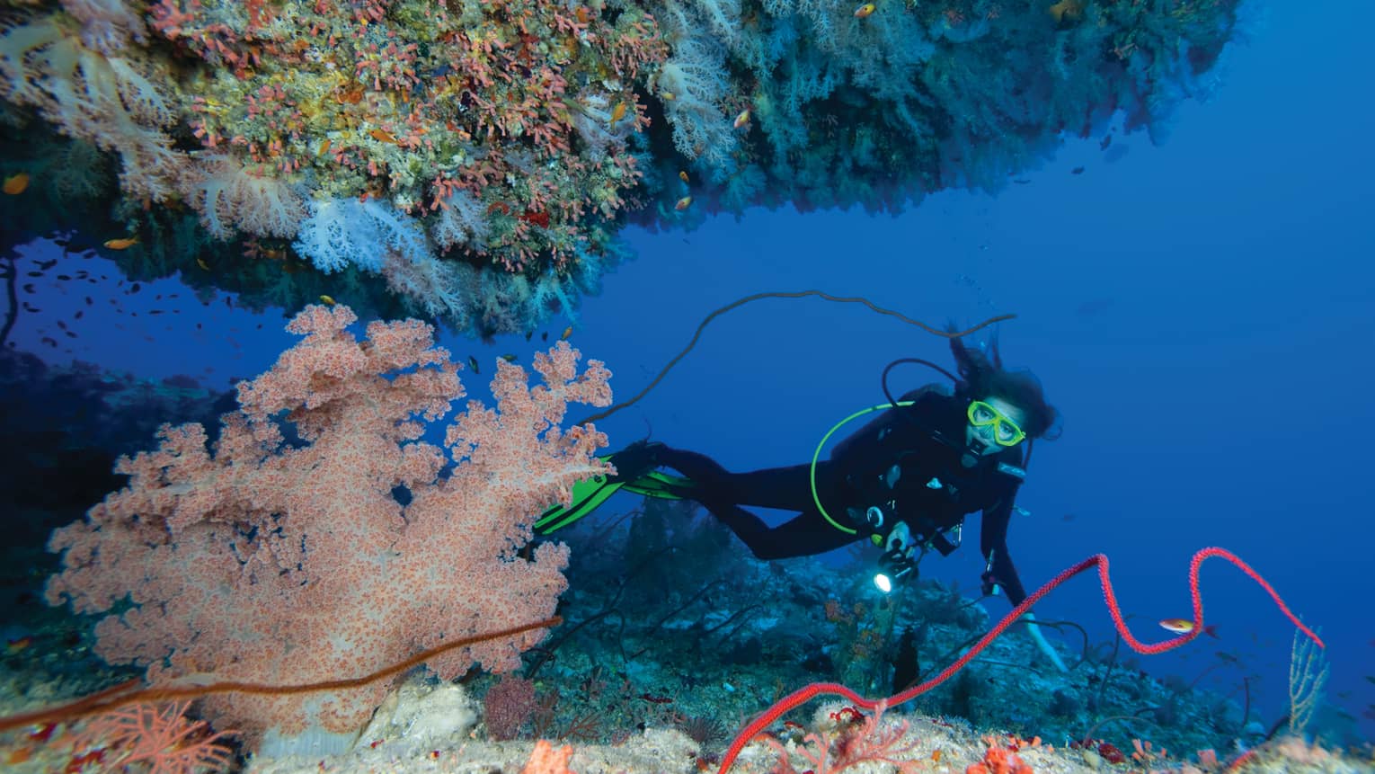 Scuba diver swims through colourful coral, rocks under ocean