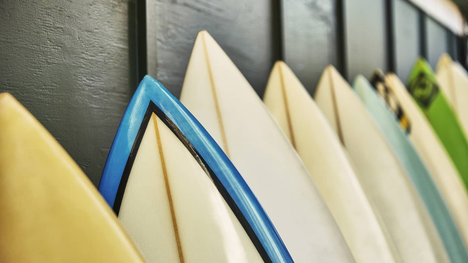 Close-up of the pointed tips of surfboards. All in the row, the upright boards lean against a dark board-and-batten wall.