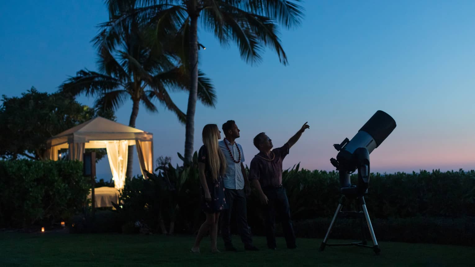 Silhouetted amid palm trees and a telescope, a guide points at the sky as two guests look up, a lit-up gazebo behind them.