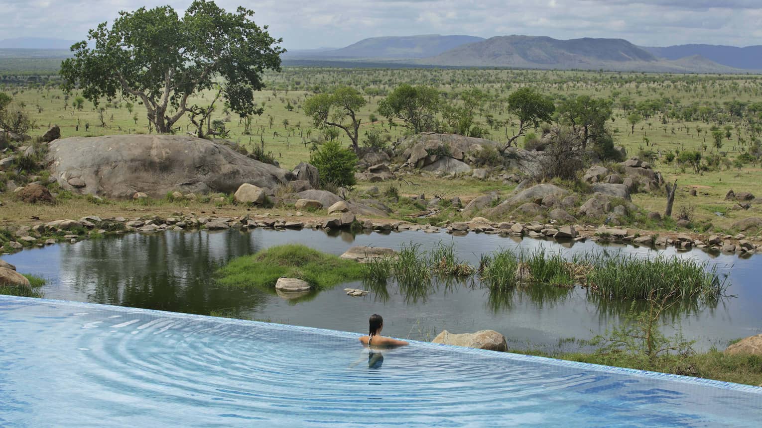 Woman stands at edge of infinity pool overlooking animal watering hole