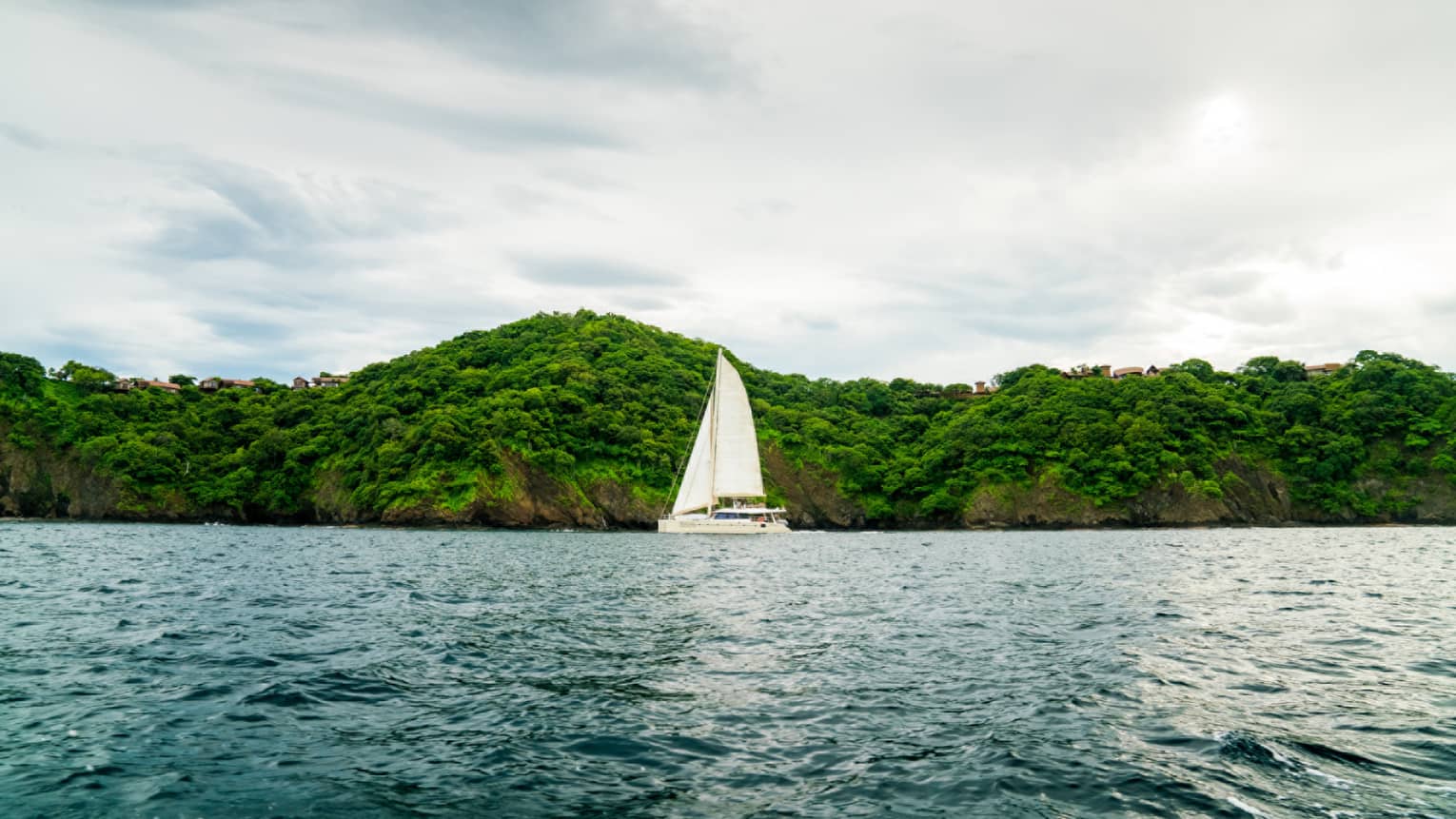 Catamaran boat with white sail on ocean in front of green mountain