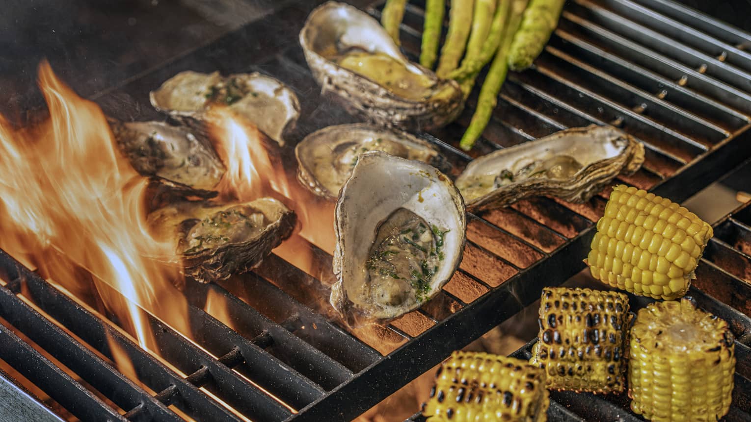 Oysters on the half shell, halved ears of charred corn and stalks of asparagus on an open-flame grill