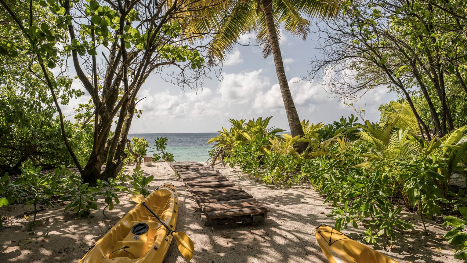 Two yellow kayaks, paddle by long wood walkway between trees on white sand beach
