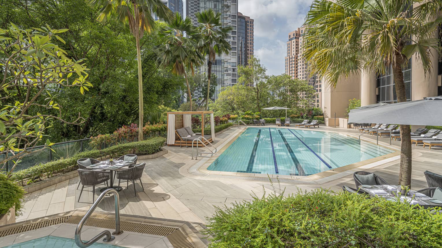 Outdoor lap pool surrounded by palm trees and green foliage, views of downtown Singapore