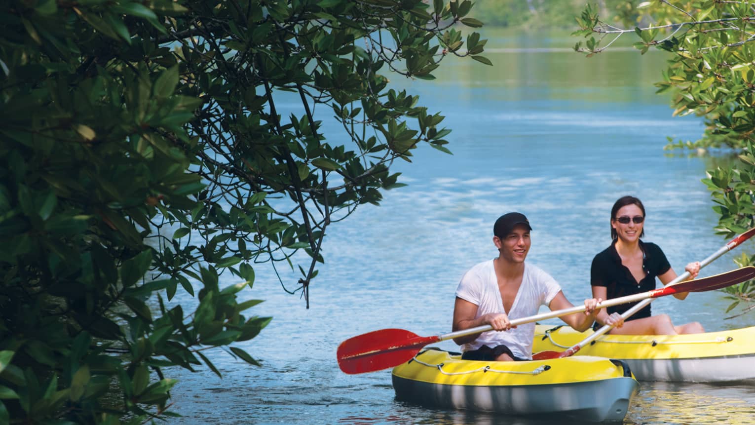 Two people with paddles in yellow kayaks pass through trees on water 