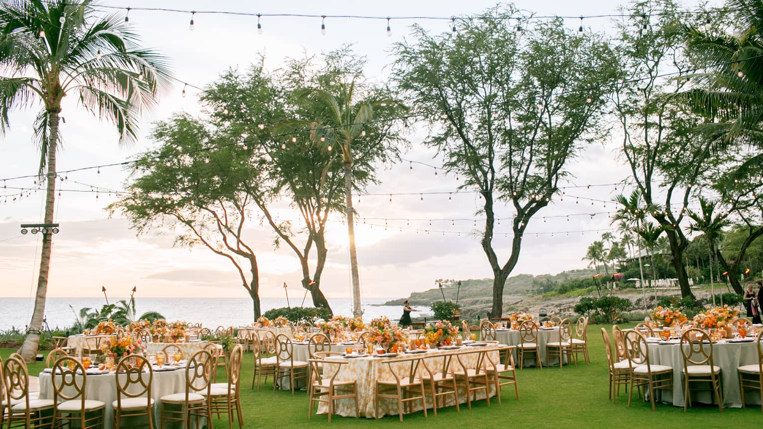 A group of long tables decorated for a wedding on green grass with tall, thin, trees surrounding them.