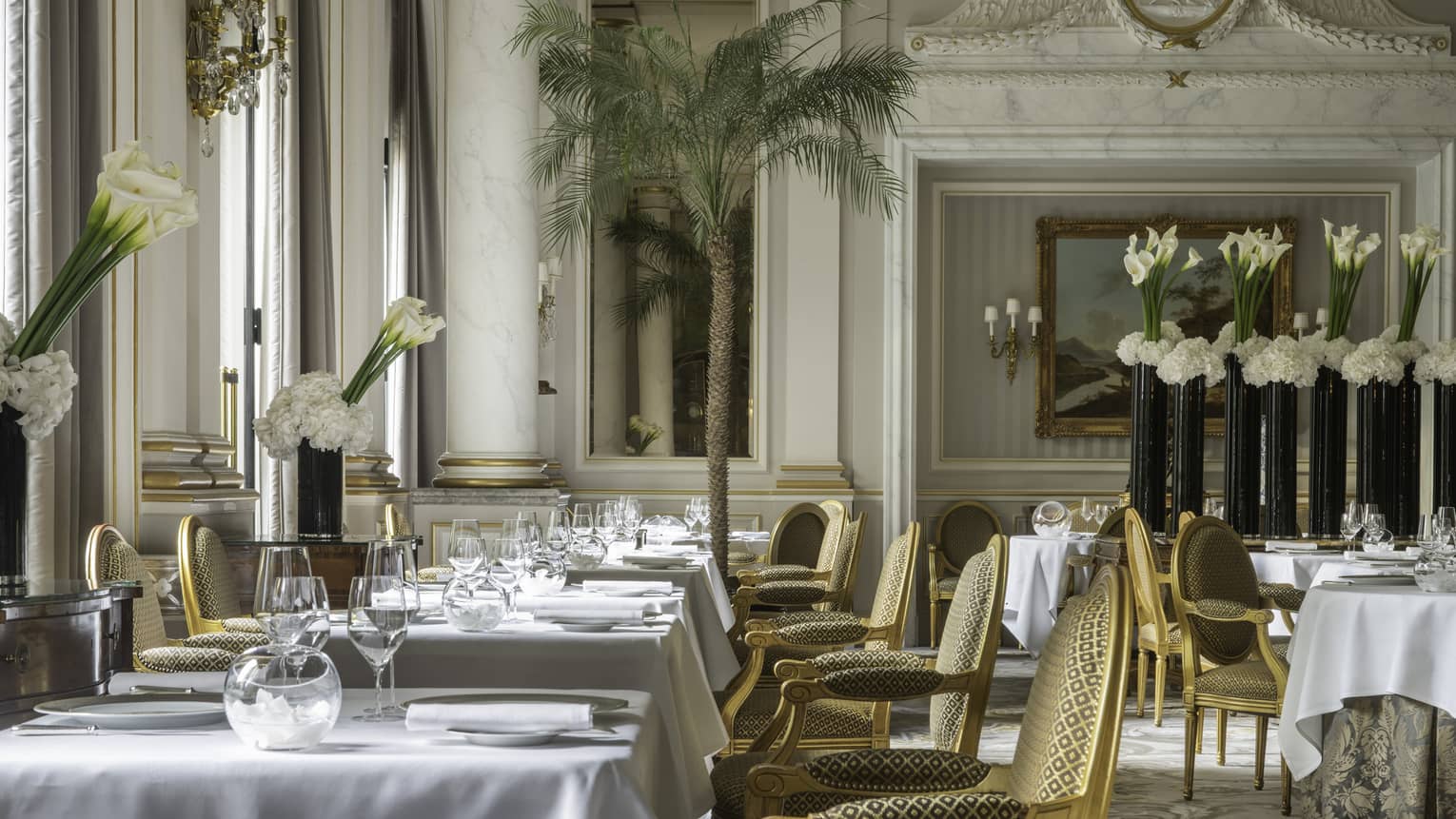 Interior view of elegant restaurant with gold upholstered chairs, white table clothes, white lilies, marble columns and molding