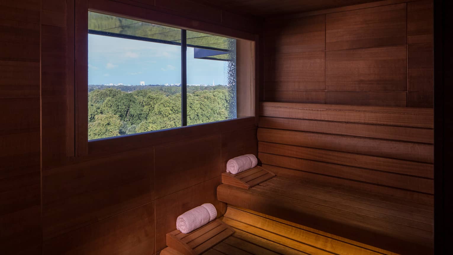 Rolled white towels on benches in wood sauna, window looking out over trees