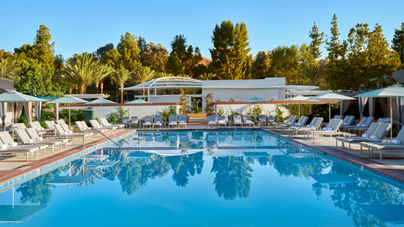 An outdoor pool surrounded by lounge chairs, umbrellas and trees.