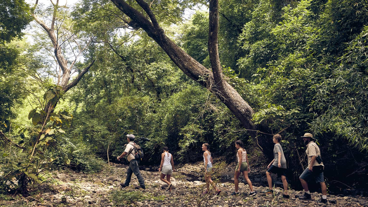 A group of people hiking through a forest.