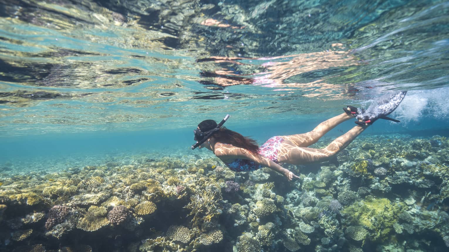 A woman snorkeling in the ocean.