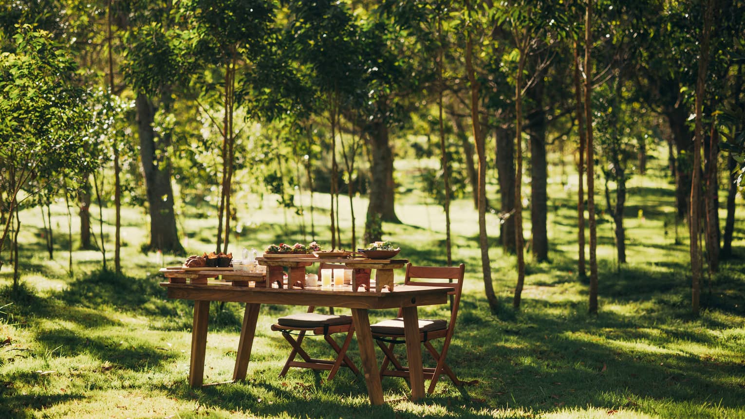 Dining table and two chairs outdoors on green grass, trees in the background