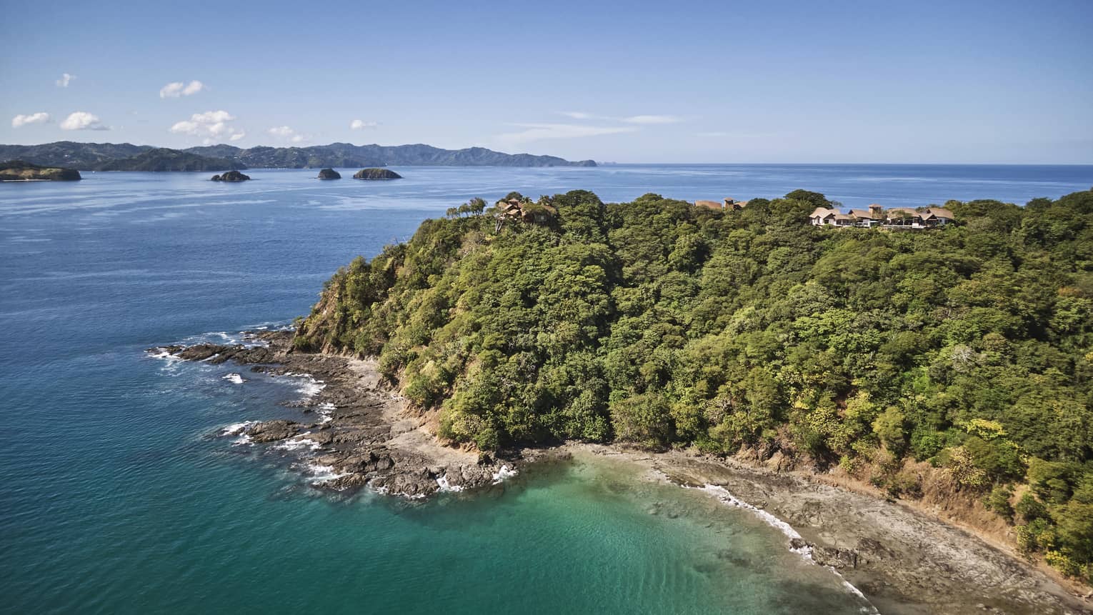 A beach shore covered in forest.