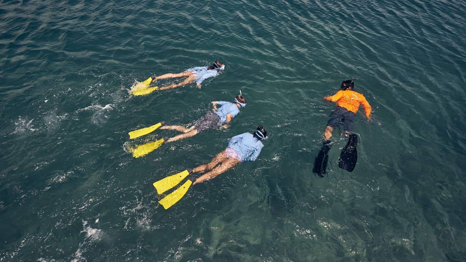Overhead view of three people wearing light-blue swim shirts and yellow flippers swim next to an instructor wearing an orange swim shirt and black flippers