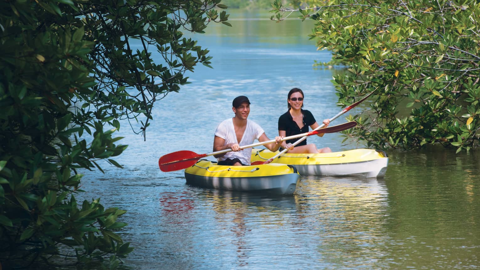 Two people with paddles in yellow kayaks pass through trees on water 