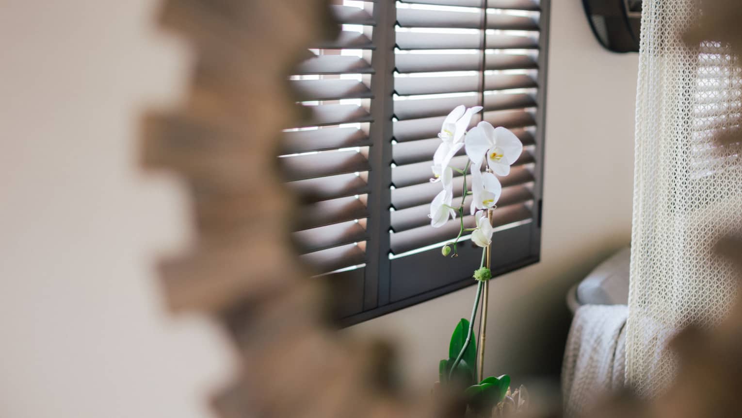 A mirror showing flowers by a window.