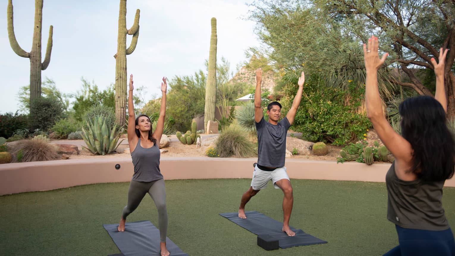 A yoga class with a group on a lawn with cacti surrounding them.