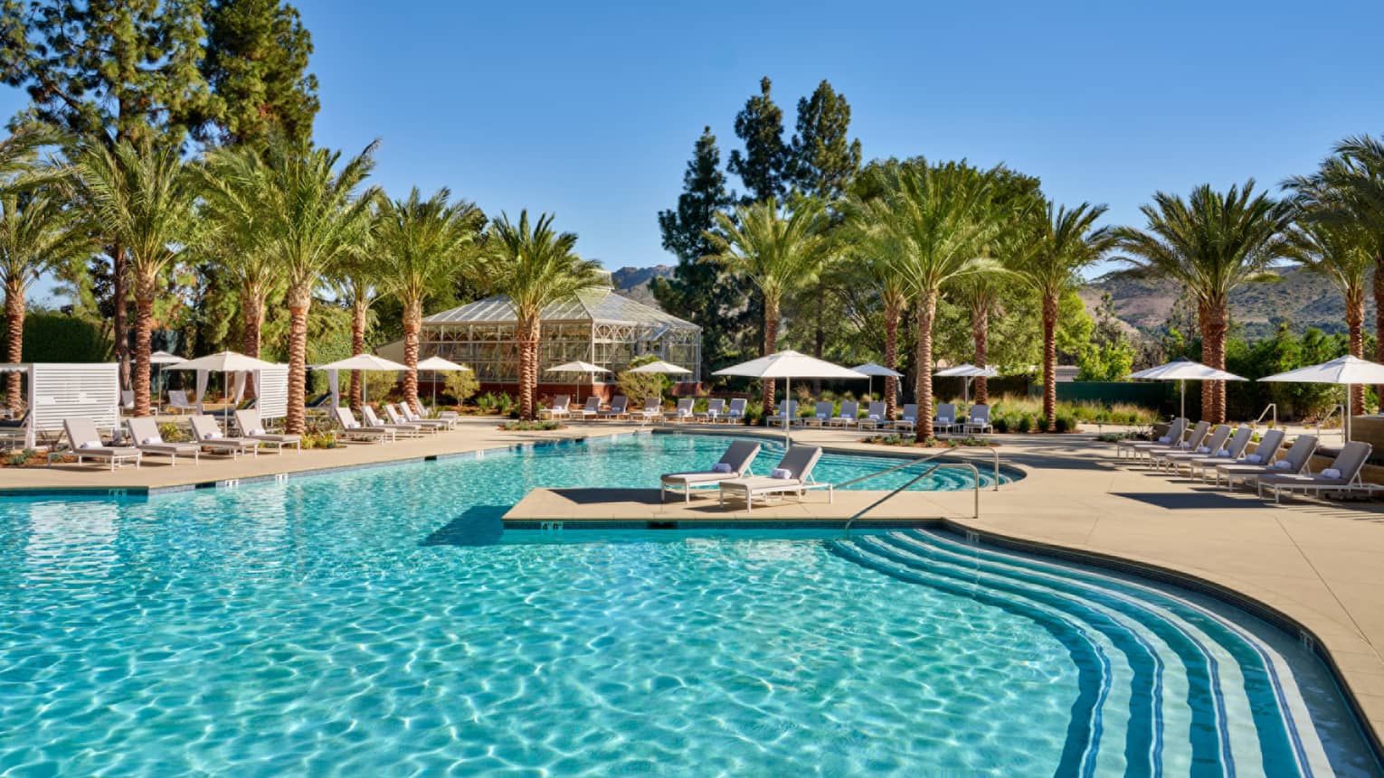 An outdoor pool surrounded by palm trees.