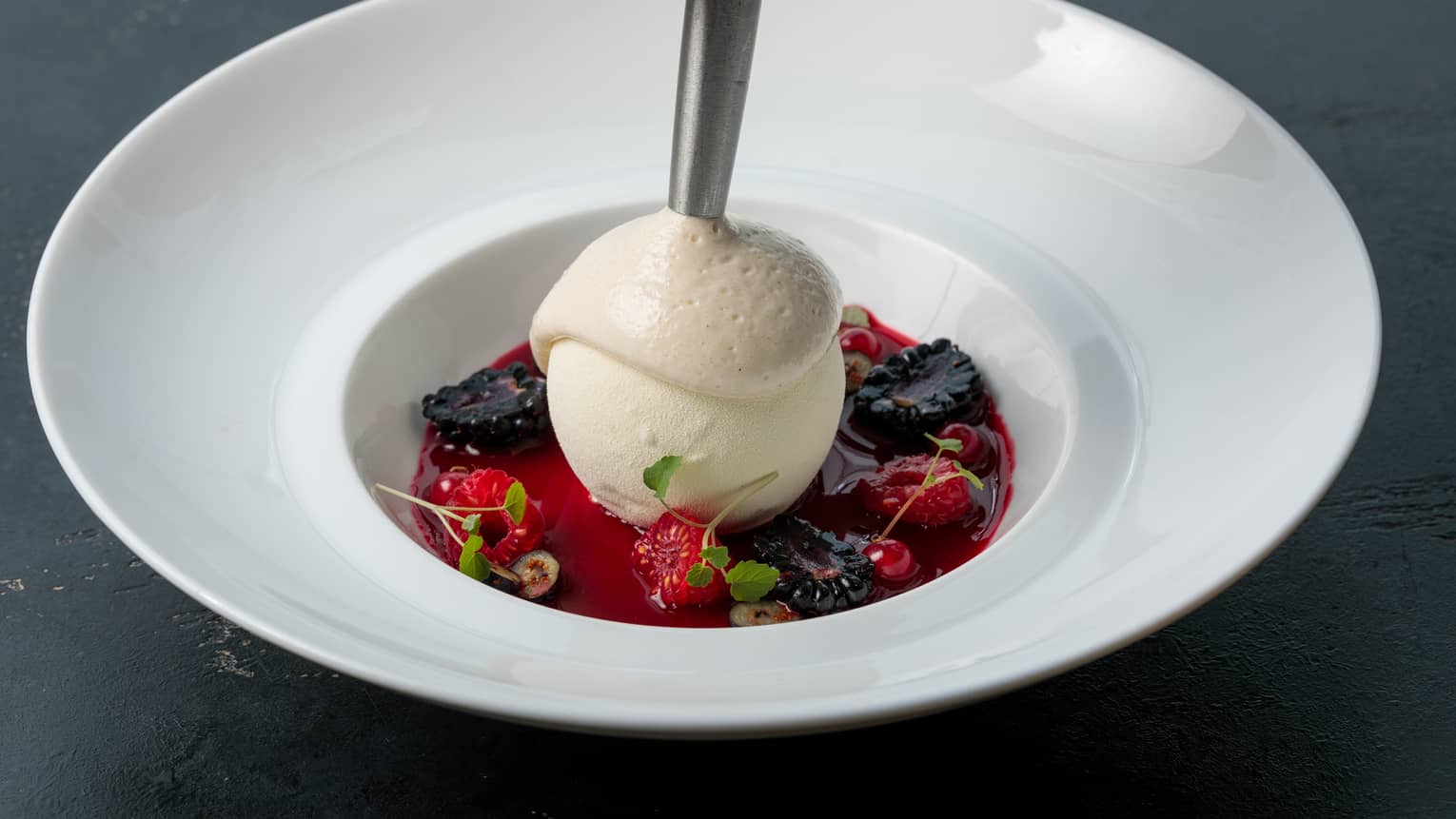 A white bowl filled with rice pudding, berry sauce and sorbet.