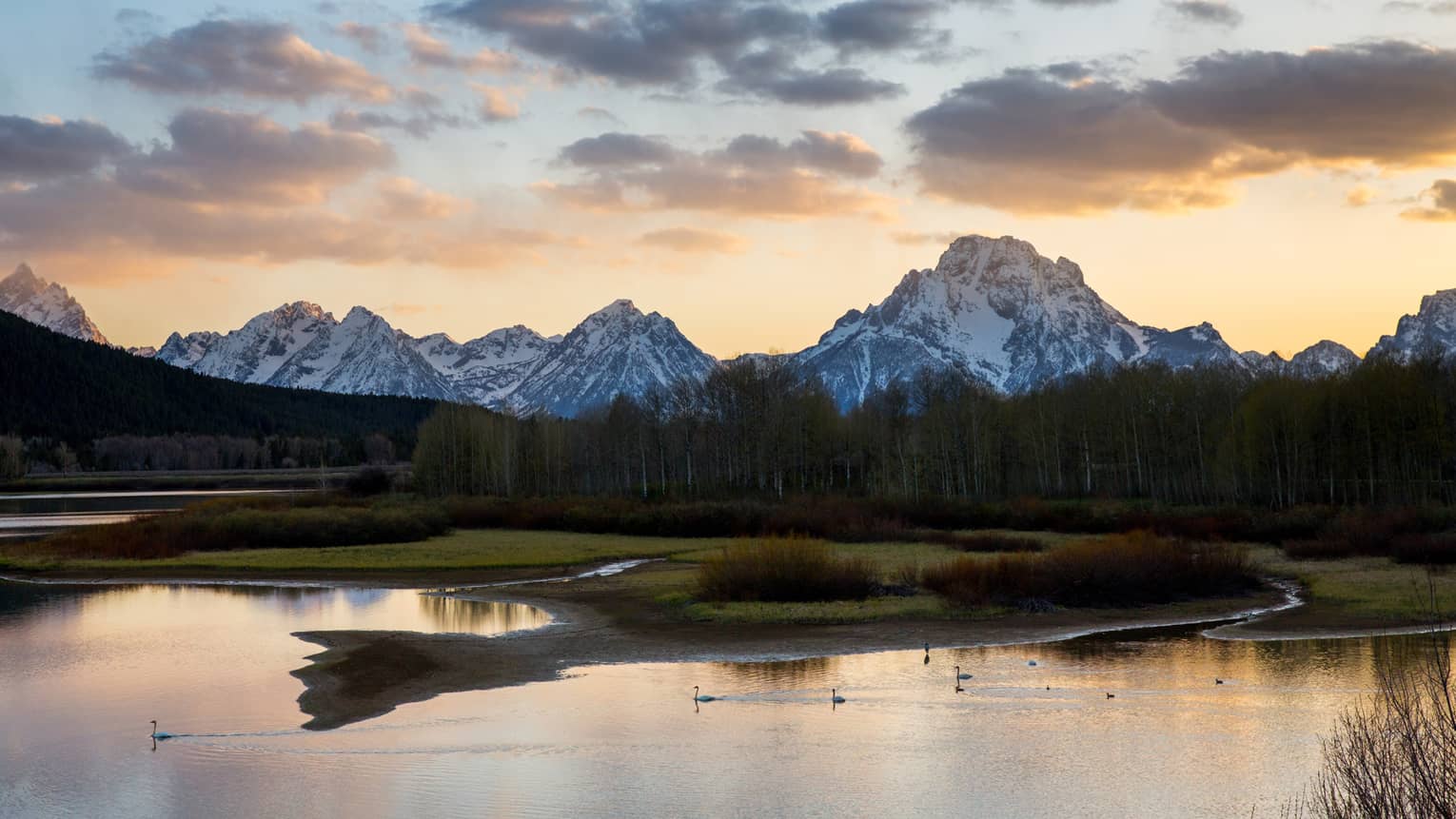 Snow-capped mountains over grass, pond with ducks at sunset