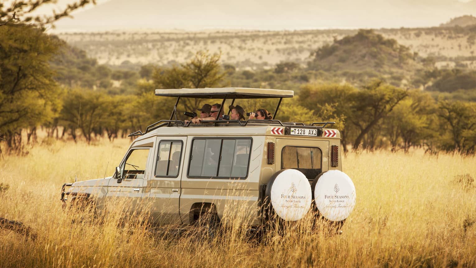 Guests peek out from white safari jeep roof in tall grass of Serengeti park