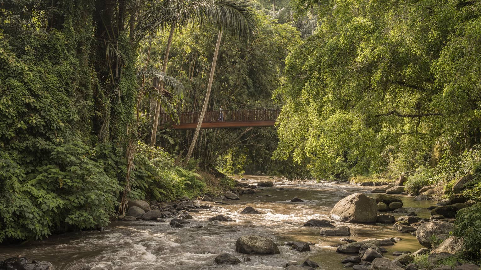 Sayan Bridge extends over a roaring river that flows around rocks and is surrounded by lush vegetation