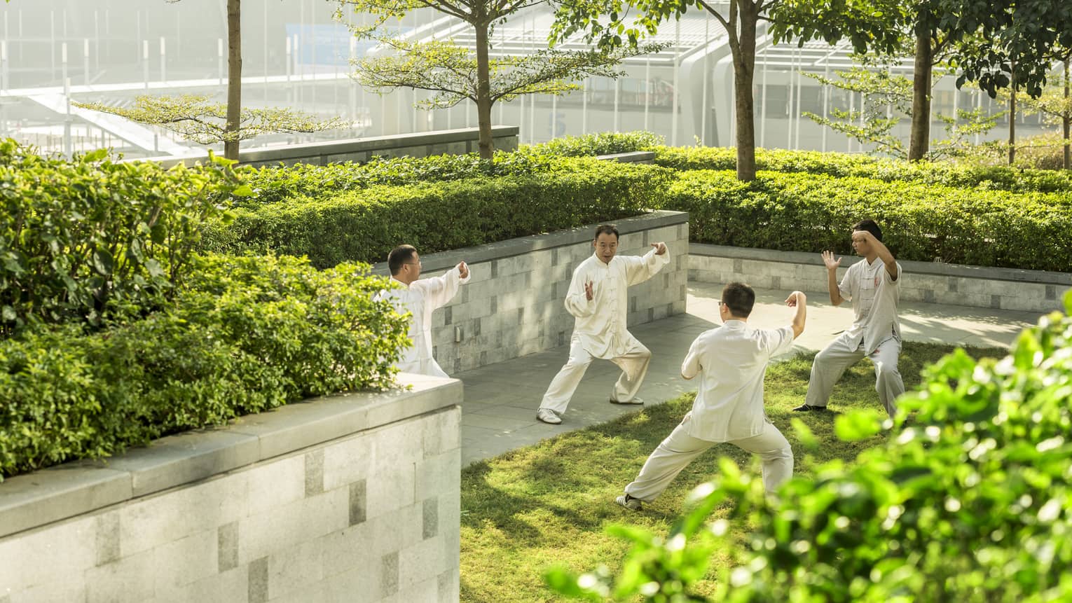 Mean wearing white practice tai-chi in sunny garden