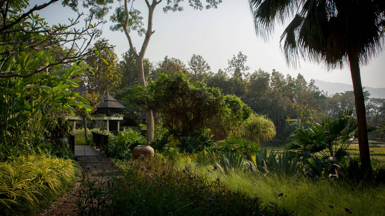 Building visible at end of pathway through tropical gardens, plantation, trees 