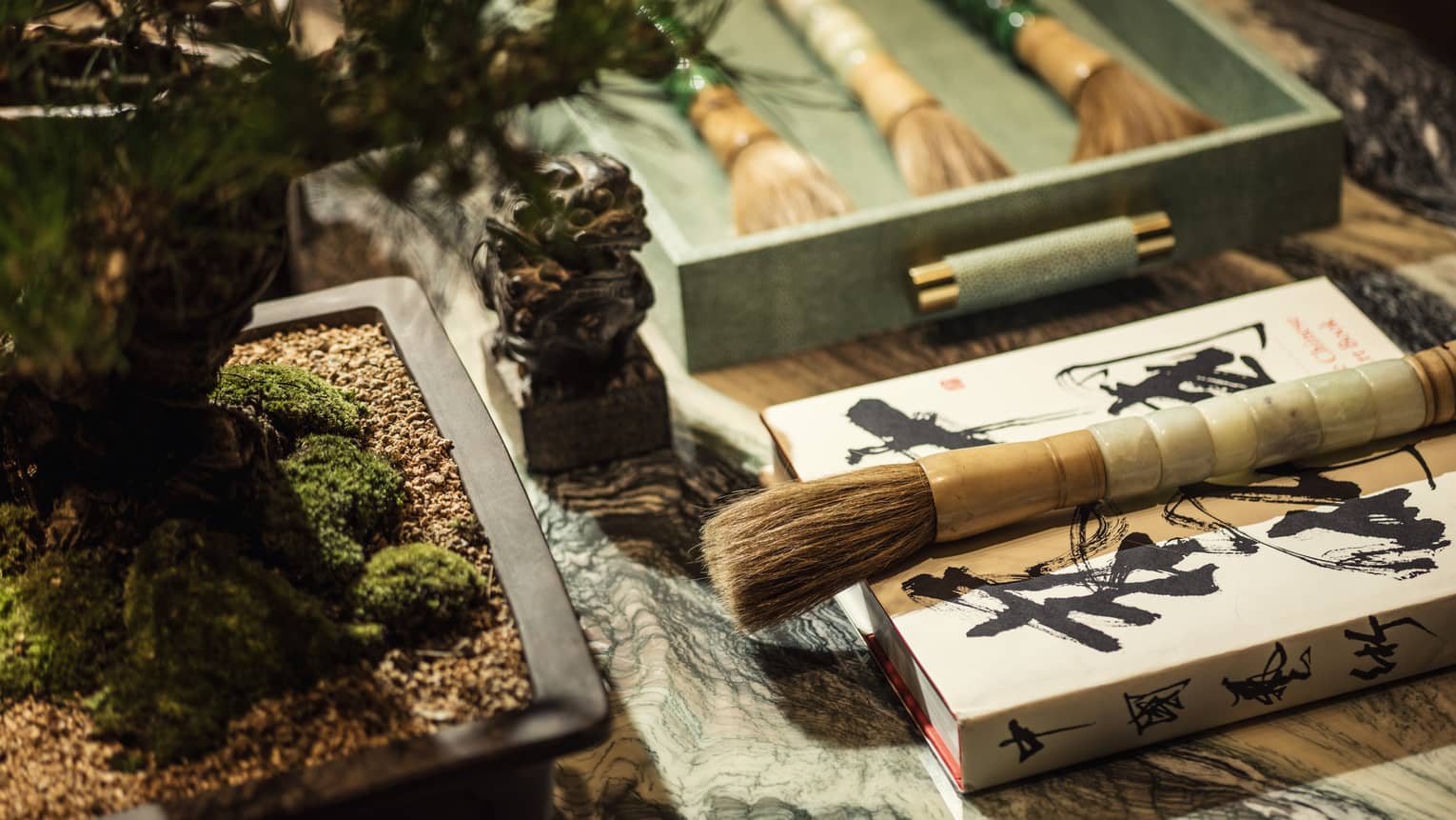 Close-up of paintbrush on box near bonsai tree