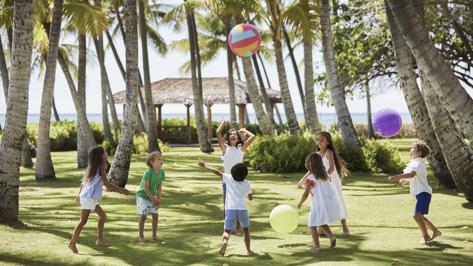 Group of children play with large colourful balls on green lawn under palm trees