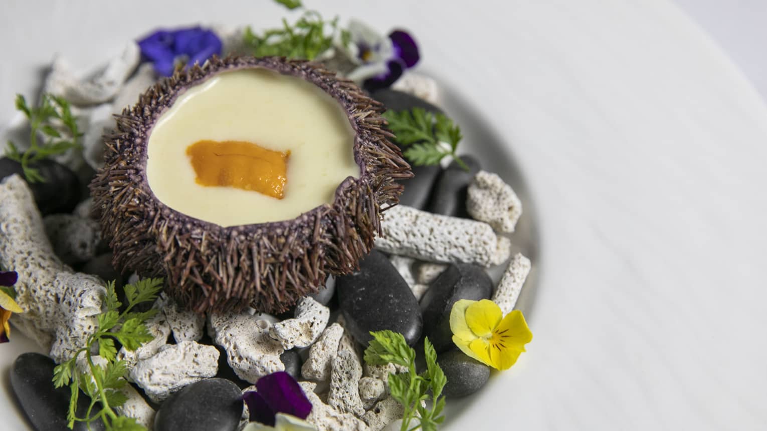 Sea Urchin with Potato Foam