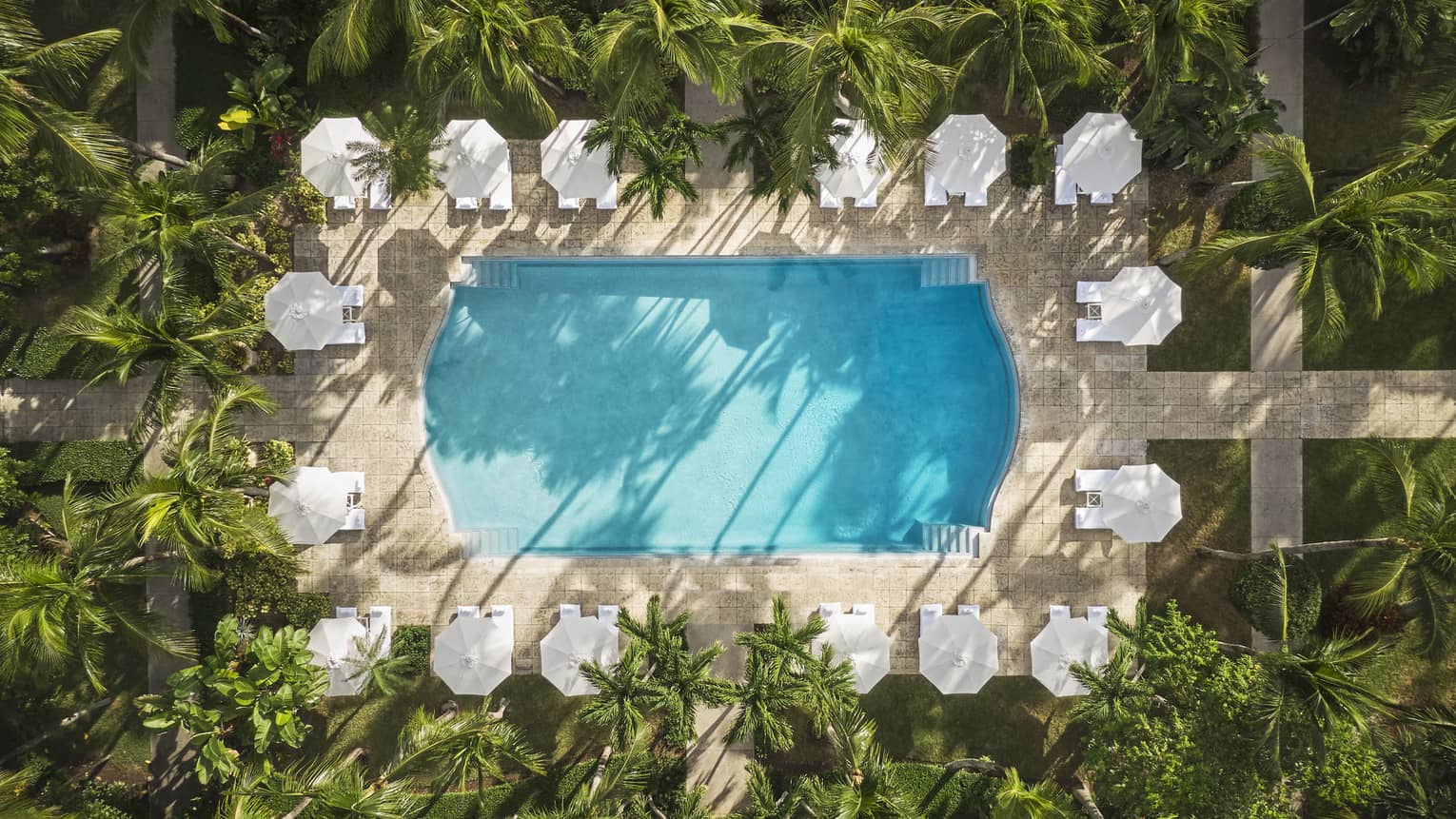 An aerial view of an outdoor pool surrounded by plants.