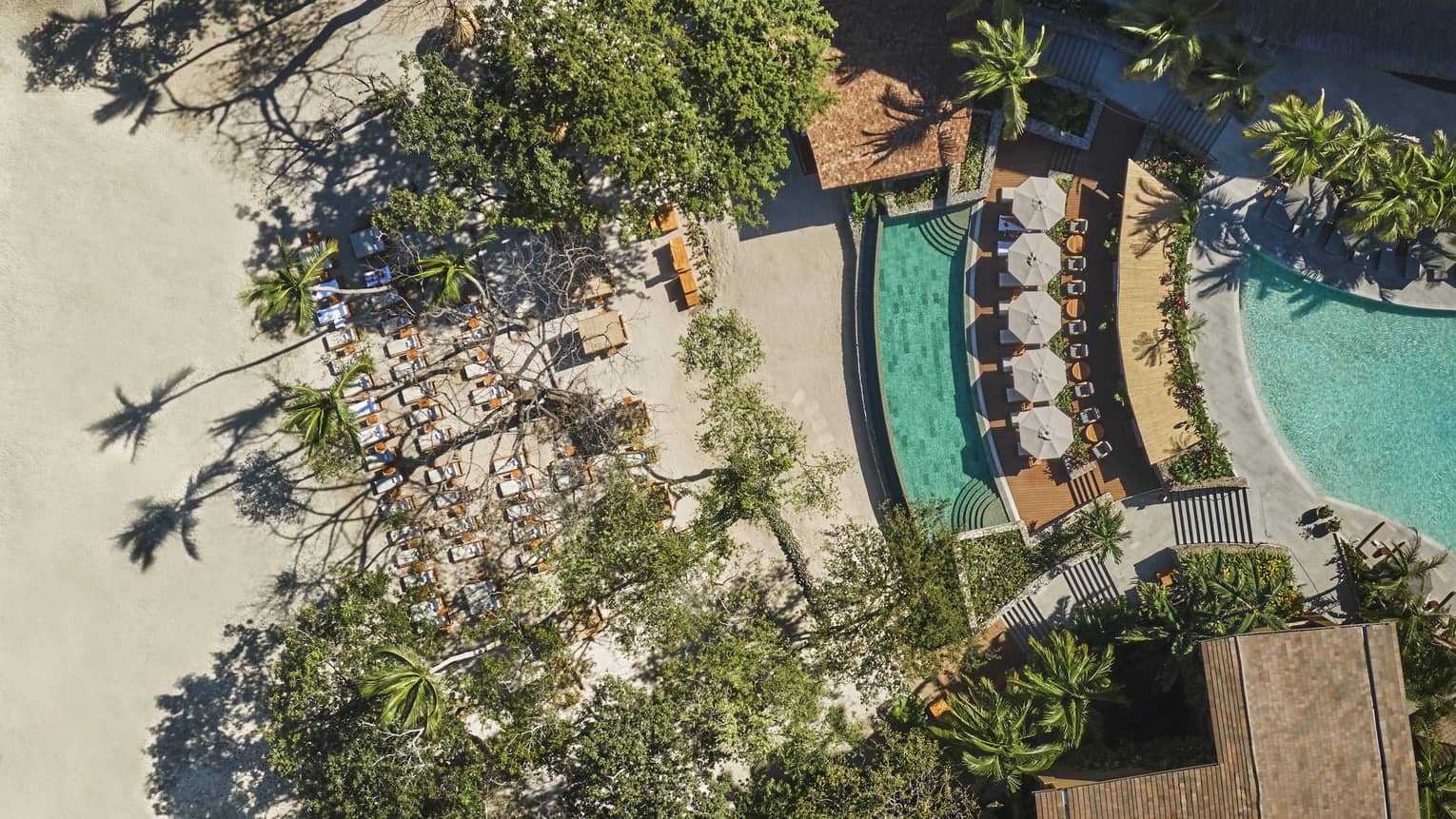 Aerial view of a row of white lounge chairs on the edge of a pool and walkways lined with tropical plants
