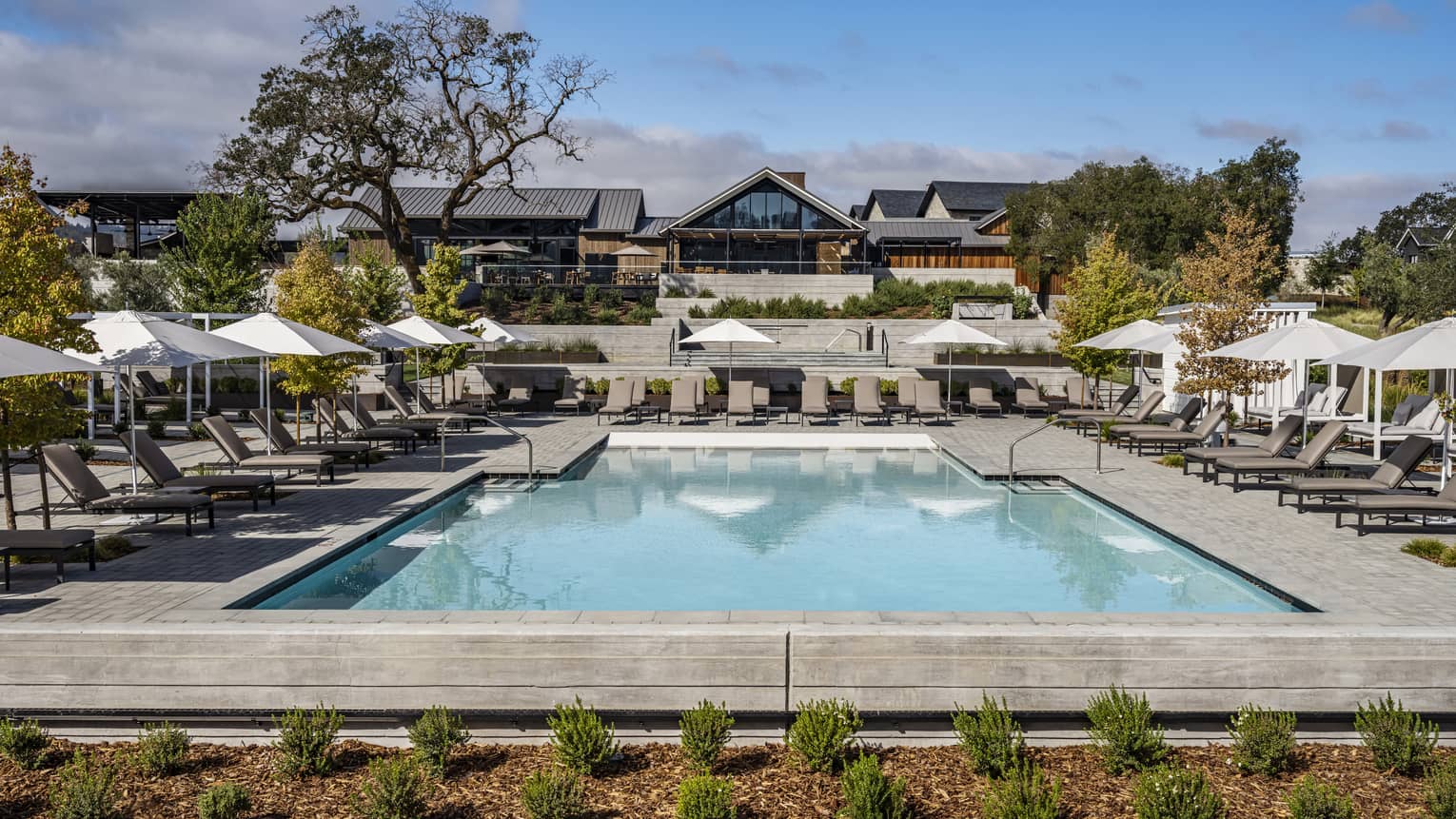 An outdoor pool surrounded by lounge chairs, white umbrellas and small plants.