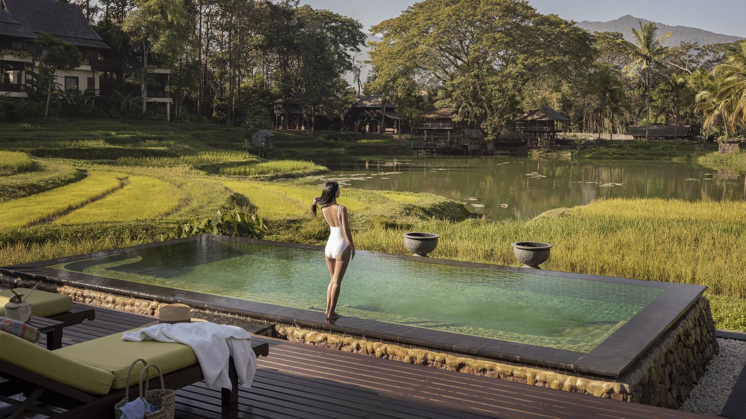 Pool overlooking rice paddies