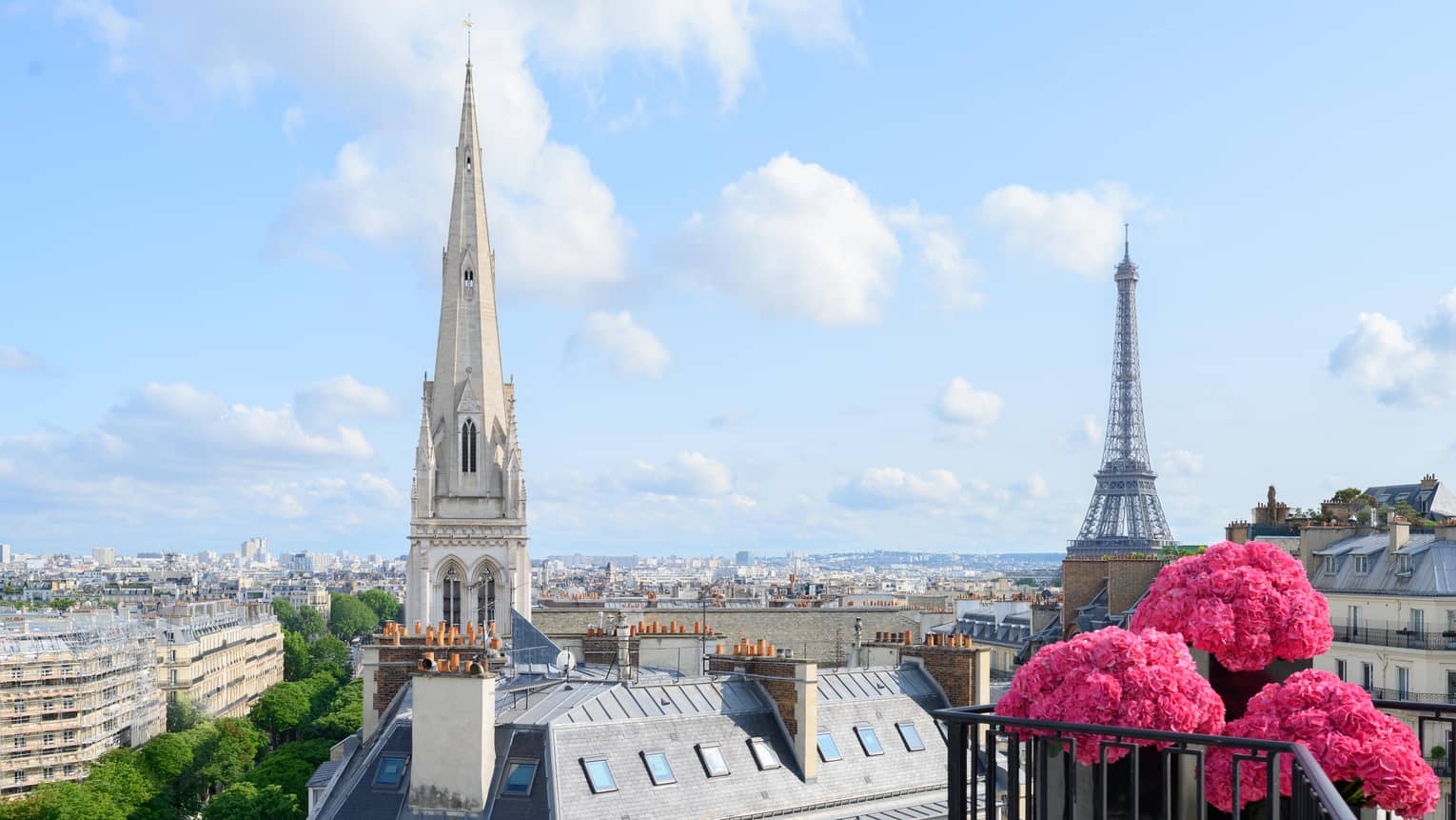 Pink flowers on balcony in front of Paris rooftops, cathedral and blue sky