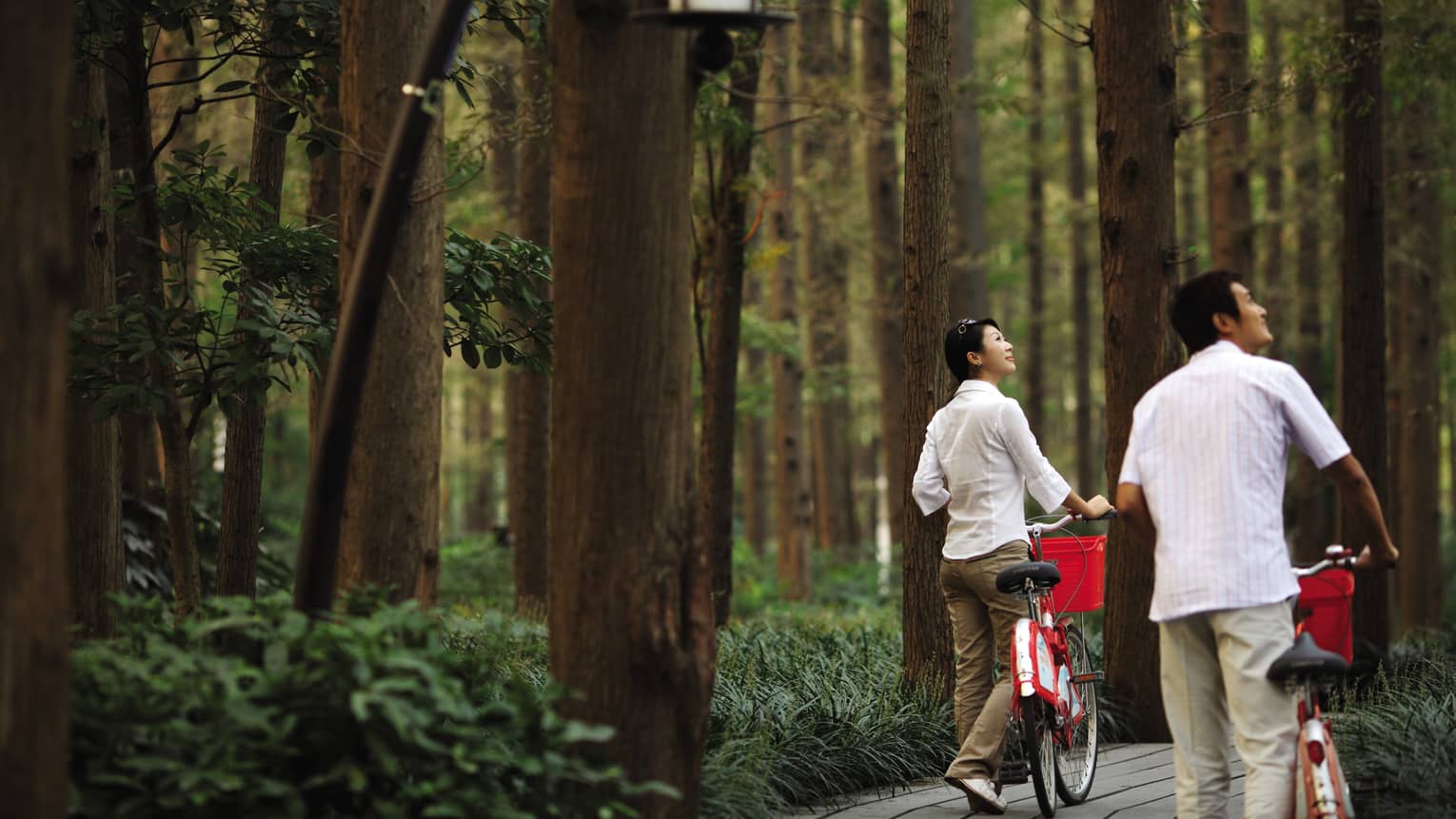 Couple walks bicycles through forest nature trail, looks up at trees