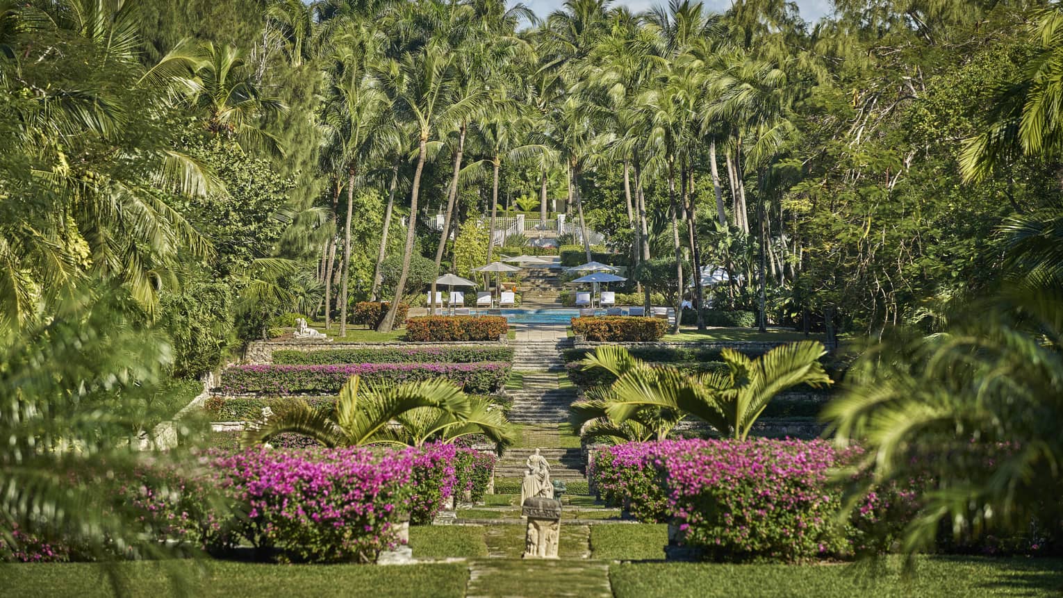 A large garden with pink flowers and tall palm trees.