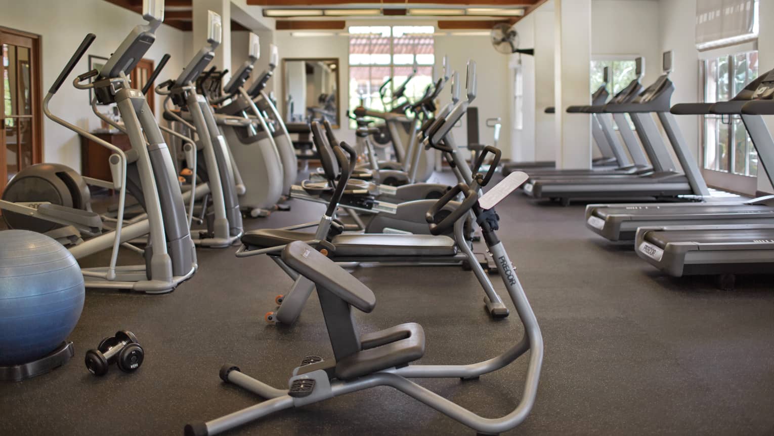 Rows of cardio bikes, treadmills, blue pilates ball in Fitness Centre