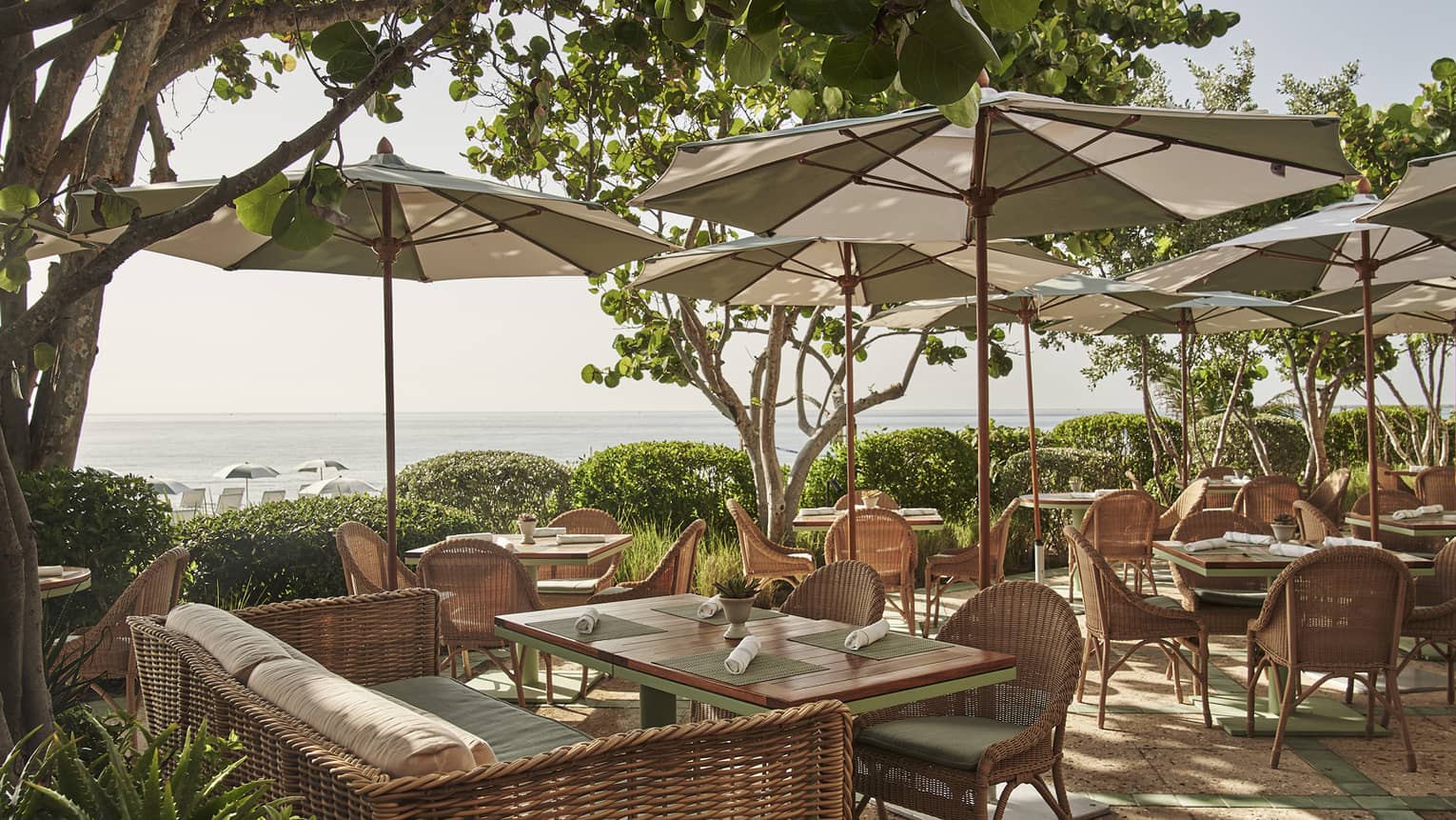 An outdoor seating area with woven chairs and tables under large beige umbrellas and trees.