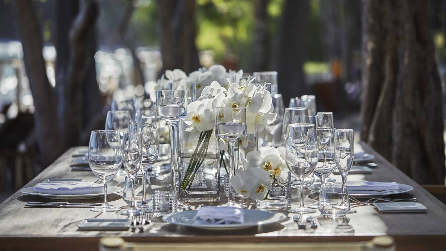 Elegant outdoor dining table under trees set with wine glasses, fresh white flowers in vases